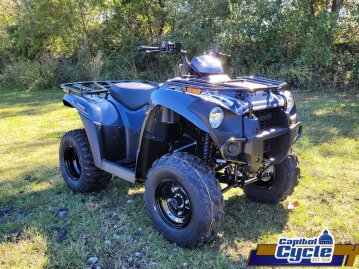 New 2025 Kawasaki Brute Force 300