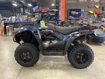 New 2025 Kawasaki Brute Force 300