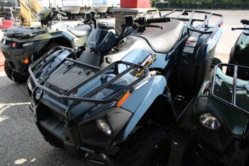 New 2025 Kawasaki Brute Force 300