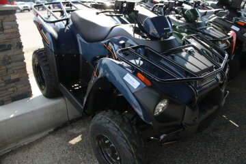 New 2025 Kawasaki Brute Force 300
