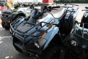 New 2025 Kawasaki Brute Force 300