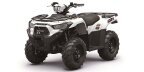 Thumbnail Photo 1 for New 2025 Kawasaki Brute Force 450 4x4