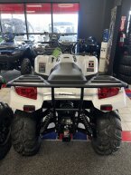 Thumbnail Photo 1 for New 2025 Kawasaki Brute Force 450 4x4