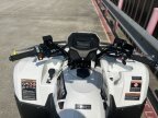Thumbnail Photo 3 for New 2025 Kawasaki Brute Force 450 4x4
