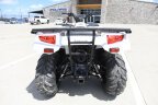 Thumbnail Photo 3 for New 2025 Kawasaki Brute Force 450 4x4