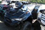 Thumbnail Photo 2 for New 2025 Kawasaki Brute Force 450