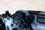 Thumbnail Photo 4 for New 2025 Kawasaki Brute Force 450