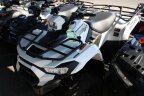 Thumbnail Photo 2 for New 2025 Kawasaki Brute Force 450