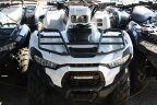 Thumbnail Photo 1 for New 2025 Kawasaki Brute Force 450