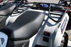 Thumbnail Photo 6 for New 2025 Kawasaki Brute Force 450