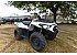 New 2025 Kawasaki Brute Force 450 4x4