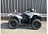 New 2025 Kawasaki Brute Force 450 4x4