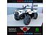 New 2025 Kawasaki Brute Force 450