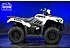 2025 Kawasaki Brute Force 450 4x4