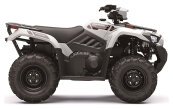 New 2025 Kawasaki Brute Force 450