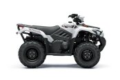 New 2025 Kawasaki Brute Force 450 4x4