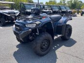 New 2025 Kawasaki Brute Force 450