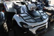 New 2025 Kawasaki Brute Force 450