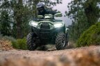 Thumbnail Photo 4 for New 2025 Kawasaki Brute Force 750