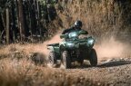 Thumbnail Photo 5 for New 2025 Kawasaki Brute Force 750