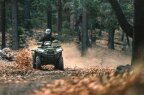 Thumbnail Photo 6 for New 2025 Kawasaki Brute Force 750
