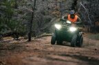 Thumbnail Photo 3 for New 2025 Kawasaki Brute Force 750