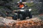 Thumbnail Photo 6 for New 2025 Kawasaki Brute Force 750
