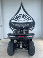 Thumbnail Photo 4 for New 2025 Kawasaki Brute Force 750