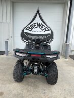 Thumbnail Photo 6 for New 2025 Kawasaki Brute Force 750 EPS LE
