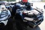 Thumbnail Photo 2 for New 2025 Kawasaki Brute Force 750