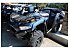 New 2025 Kawasaki Brute Force 750