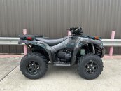 New 2025 Kawasaki Brute Force 750