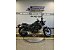 New 2025 Kawasaki Eliminator 450 ABS
