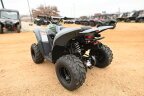 Thumbnail Photo 4 for New 2025 Kawasaki KFX50