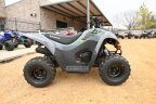 Thumbnail Photo 1 for New 2025 Kawasaki KFX50