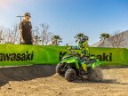 Thumbnail Photo 5 for New 2025 Kawasaki KFX50