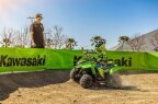 Thumbnail Photo 3 for New 2025 Kawasaki KFX50