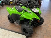 New 2025 Kawasaki KFX50