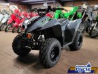 Thumbnail Photo 3 for New 2025 Kawasaki KFX90