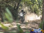Thumbnail Photo 4 for New 2025 Kawasaki KLR650 ABS