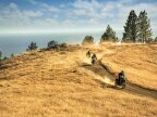 Thumbnail Photo 5 for New 2025 Kawasaki KLR650 S ABS