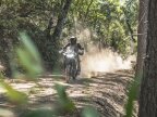 Thumbnail Photo 5 for New 2025 Kawasaki KLR650 ABS