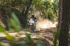 Thumbnail Photo 3 for New 2025 Kawasaki KLR650 ABS