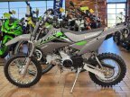Thumbnail Photo 3 for New 2025 Kawasaki KLX110R L