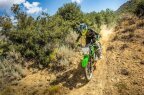 Thumbnail Photo 5 for New 2025 Kawasaki KLX230
