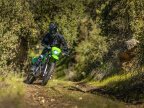 Thumbnail Photo 5 for New 2025 Kawasaki KLX230 S ABS