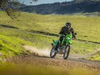 Thumbnail Photo 6 for New 2025 Kawasaki KLX230 S ABS