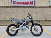 New 2025 Kawasaki KLX230R