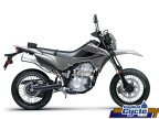 Thumbnail Photo 4 for New 2025 Kawasaki KLX300 SM