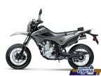 Thumbnail Photo 5 for New 2025 Kawasaki KLX300 SM